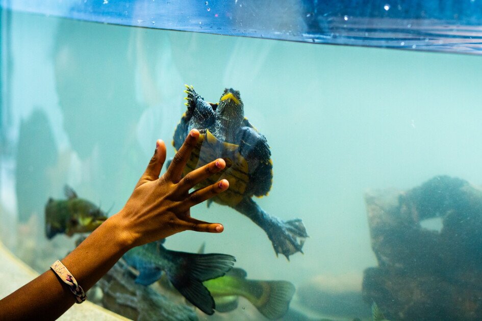 Can a Science Museum Reshape Learning? Inside One District’s Experiment