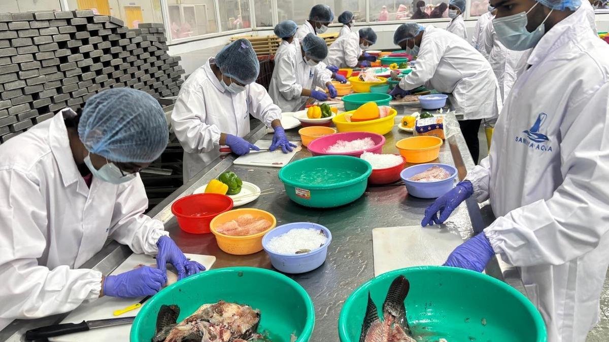एमपीईडीए मूल्यवर्धित समुद्री खाद्य उत्पादों में 5,000 को प्रशिक्षित करता है; पामरू में क्षेत्रीय ओलंपियाड आयोजित