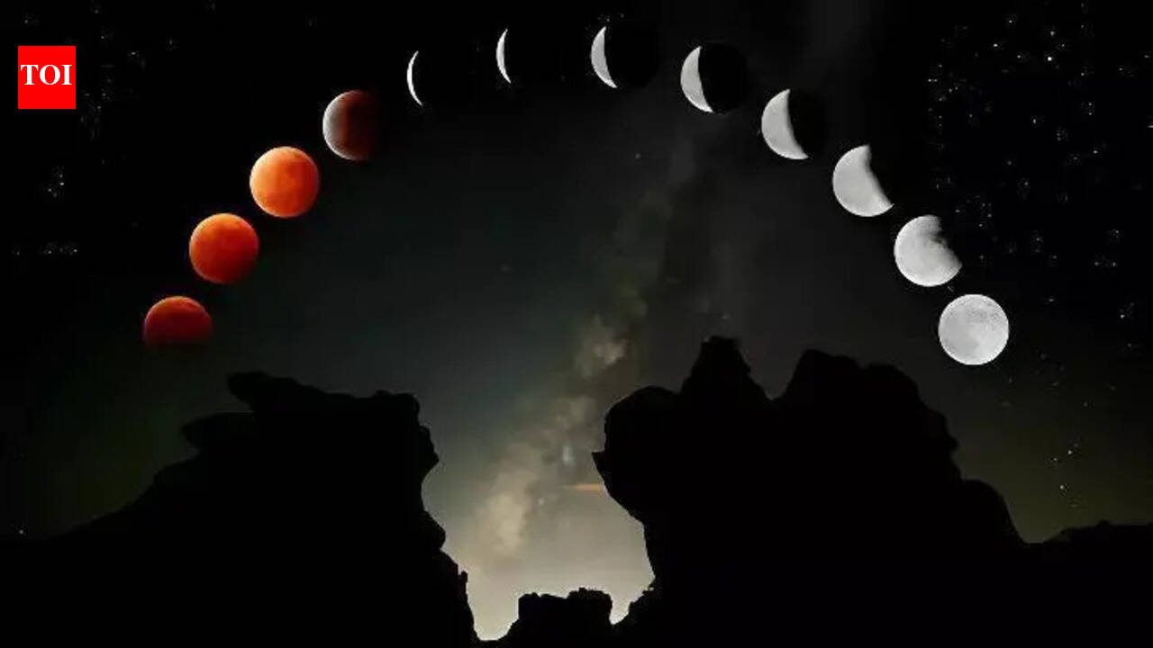 1781257527_photo.jpg