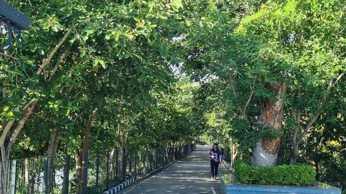 हेब्बल झील का प्रदूषण मानदंडों का ‘उल्लंघन’ करता है; कार्यकर्ता तत्काल कार्रवाई की मांग करता है