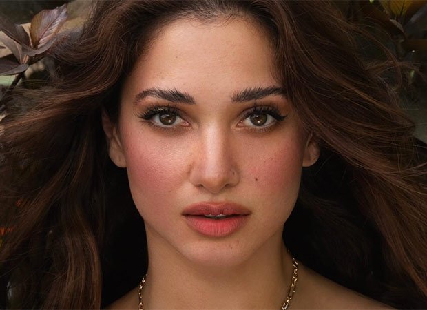 5 बार तमन्ना भाटिया ने पन्ना से लेकर हीरे जड़ित क्लासिक्स तक बेहतरीन आभूषणों के साथ एक बयान दिया 5: बॉलीवुड समाचार
