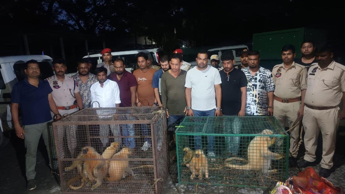 असम में पकड़े गए नौ वन्यजीव तस्करों में बांग्लादेशी भी शामिल