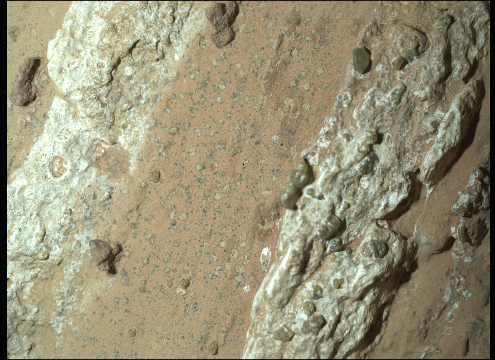 In an ancient Martian river channel, Perseverance drilled into a mudstone called Cheyava Falls and found tiny “leopard spot” minerals tangled with organic carbon — patterns that, on Earth, can be left behind when microbes consume organic matter, though scientists still can’t rule out non-living chemistry.