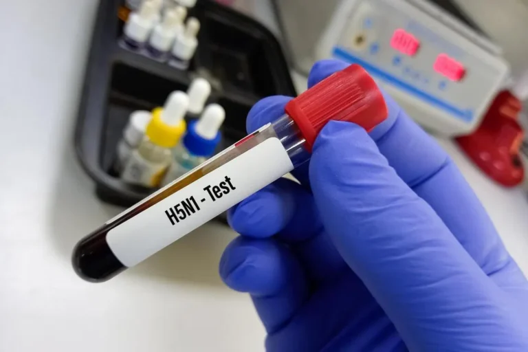 New Zealand confirms first H5N1 bird flu case in native bird