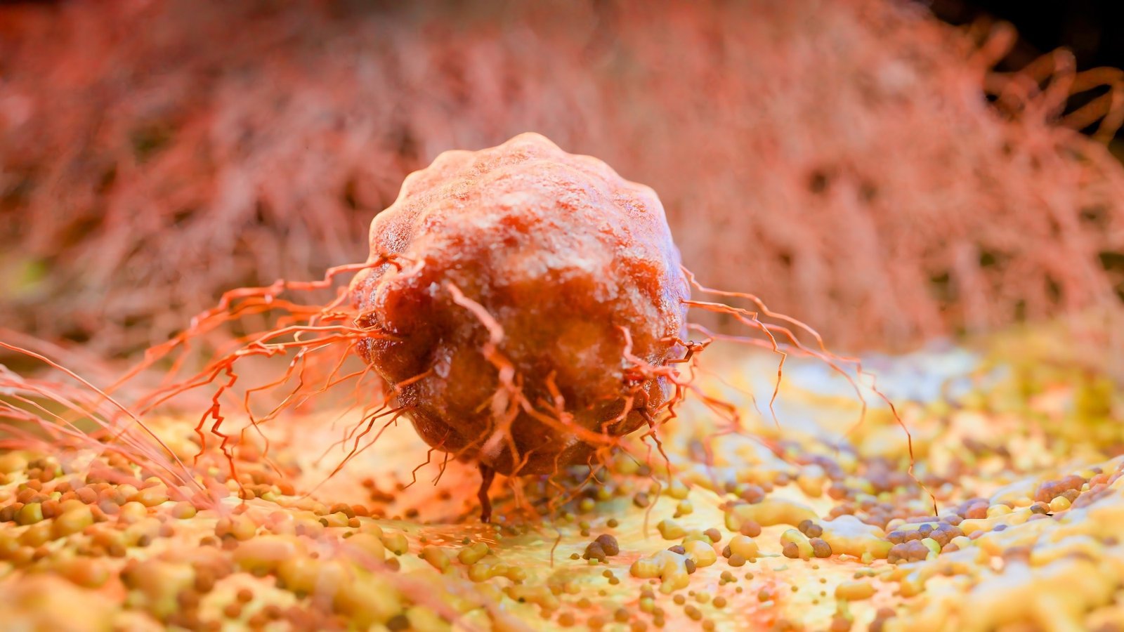 Circadian Oncology: Timing, Cancer Treatment, and Patient Outcomes