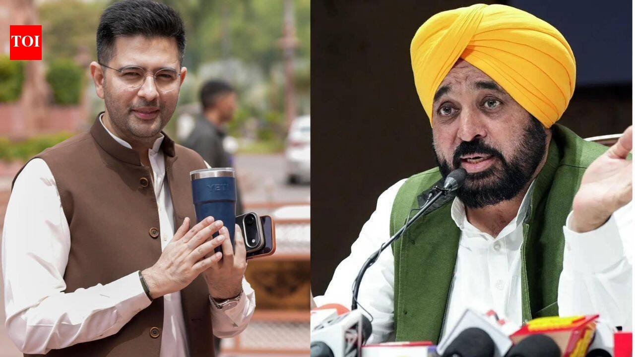 Raghav Chadha alleges name marked as ‘shifted’ in Punjab draft electoral roll: ‘AAP burning with anger since I left’ | Chandigarh News