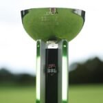 Cricket New South Wales criticises Cricket Australia’s decision to privatise Big Bash League