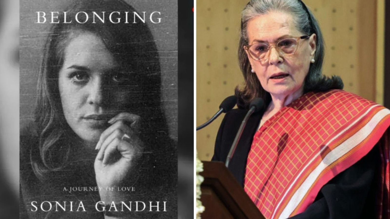 ‘Talks went from cordial to rough’: Sonia Gandhi’s exit from Penguin book deal | Political Pulse News