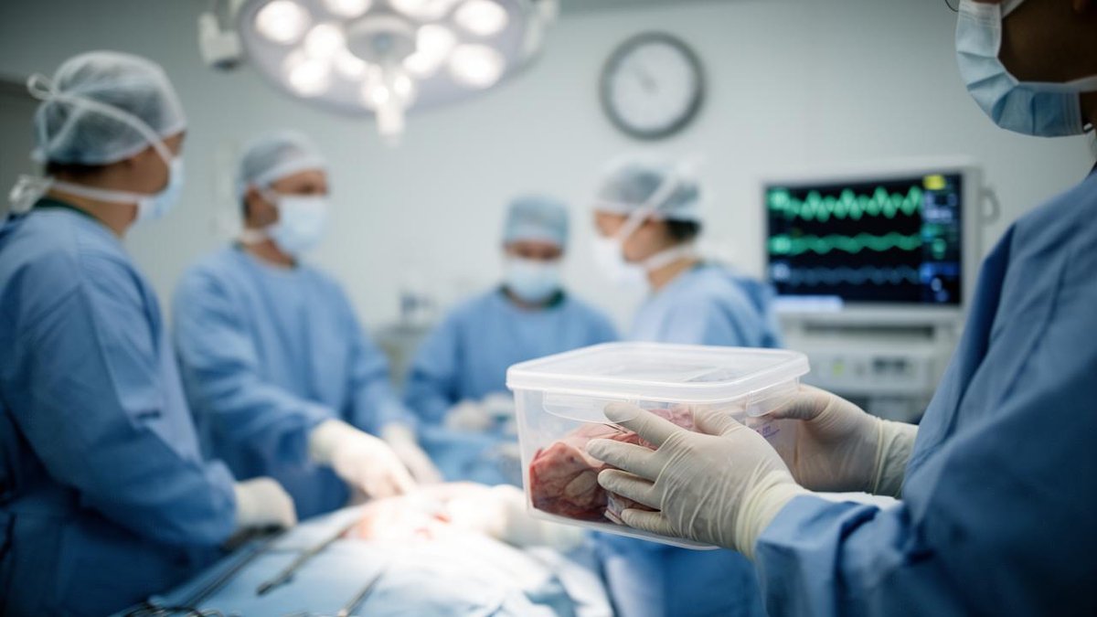 Pig Kidney Transplant Patient Survives 271 Days, Then Successfully Receives Human Kidney—Setting New Longevity Record — BigGo Finance